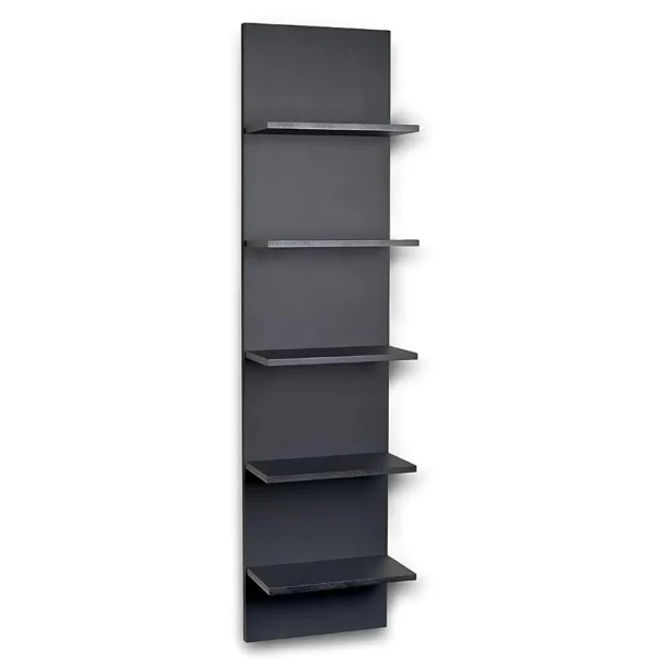 Wooden Hanging Black Wall Shelves